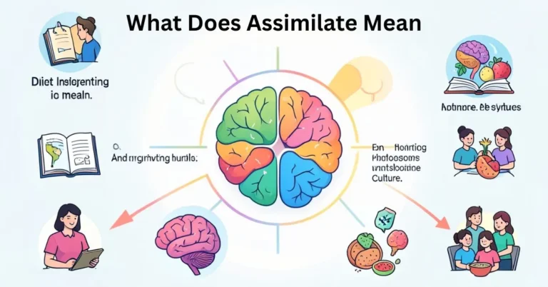 Illustration showing assimilation in learning, culture, biology, and psychology