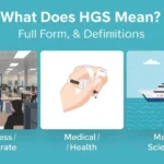 Illustration showing HGS meanings: business BPO office, handgrip strength test, and ocean mapping survey