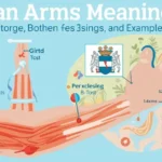 Illustration of muscular arm with mean measurement chart and coat of arms icon