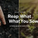 Hand planting seeds beside harvested crops showing the meaning of reap what you sow