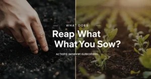 Hand planting seeds beside harvested crops showing the meaning of reap what you sow