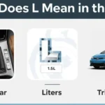 Infographic showing Low gear, liters, and trim level meanings of L in a car