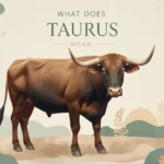 Taurus meaning zodiac feature image
