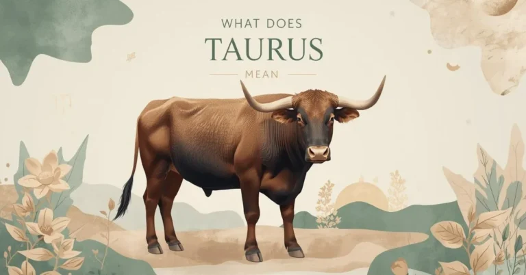 Taurus meaning zodiac feature image