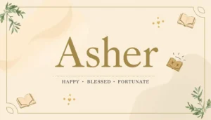 Asher name meaning with happy blessed and fortunate labels.