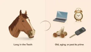 Long in the tooth idiom meaning with horse and aging objects