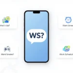 WS text meaning shown with chat and context examples